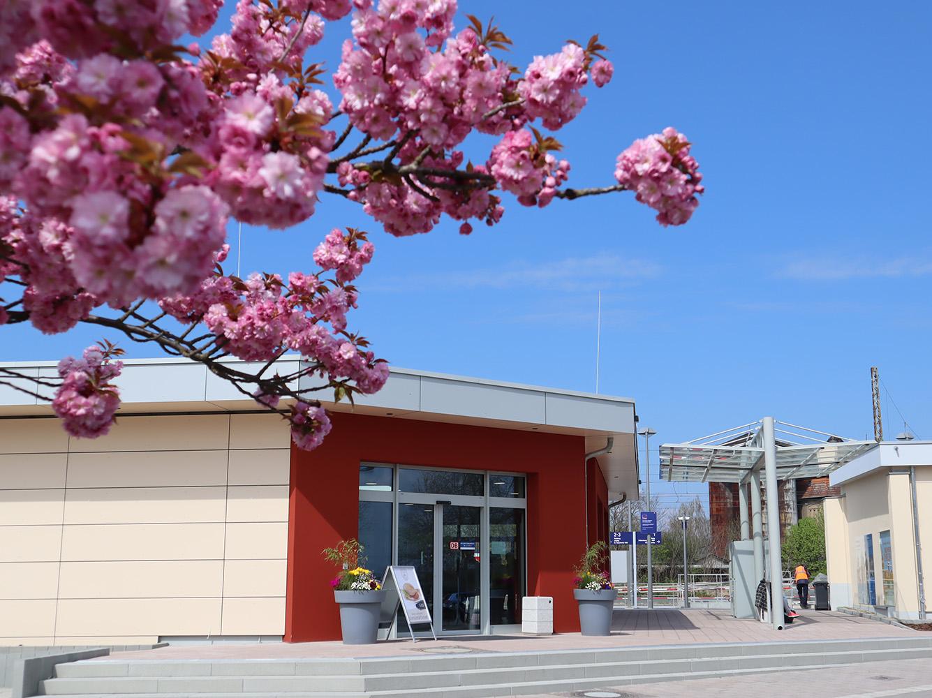 Außenaufnahme vom Bahnhof Torgau im Frühling