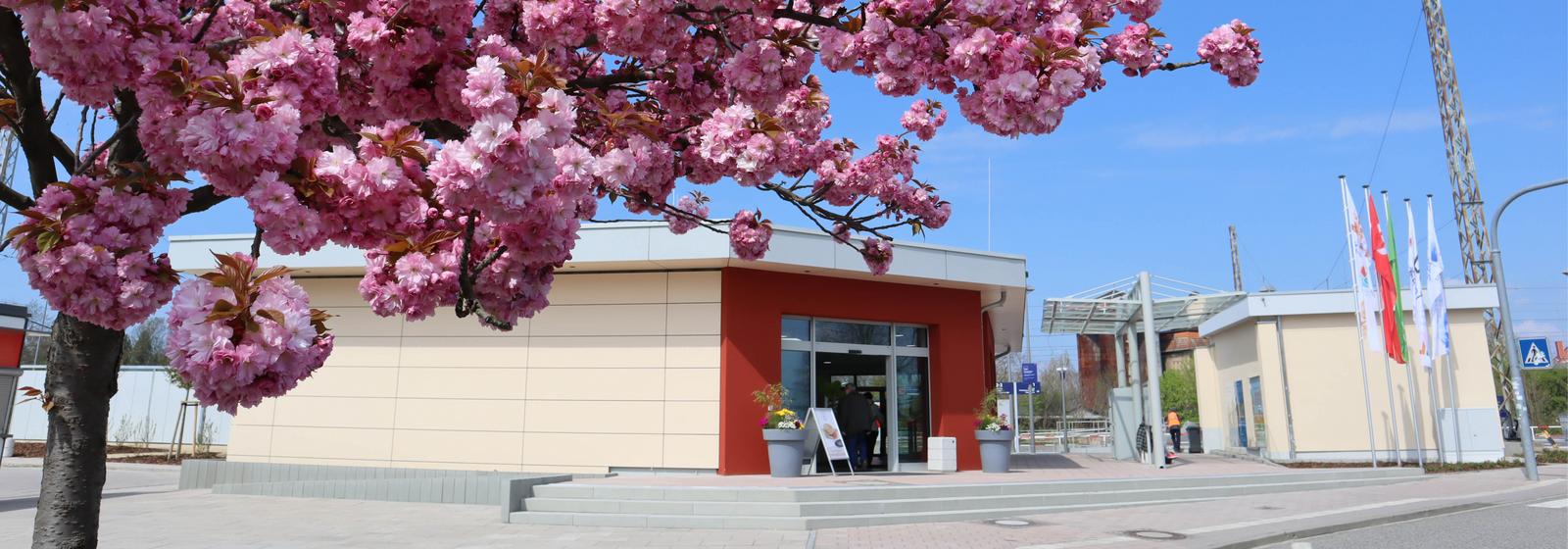 Titelbild Bahnhof
