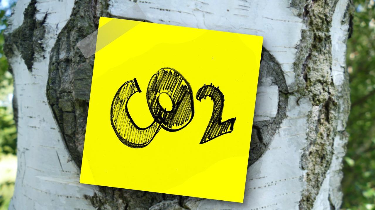 Ein Klebezettel mit der Notiz CO2 wurde an einen Baum geklebt