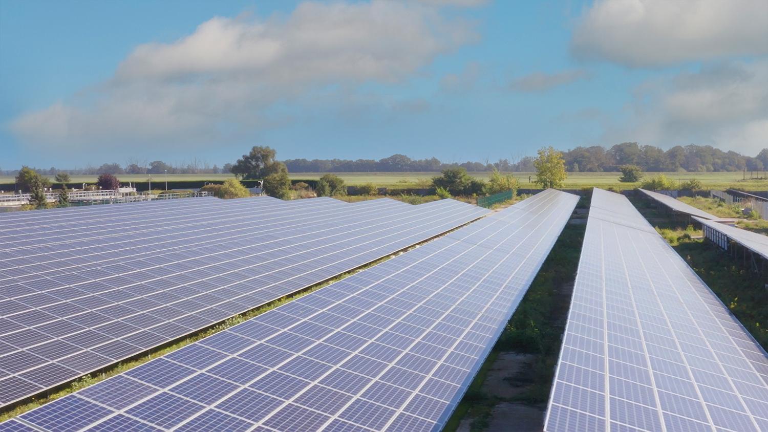 Ansicht der Solarparks der Stadtwerke Torgau