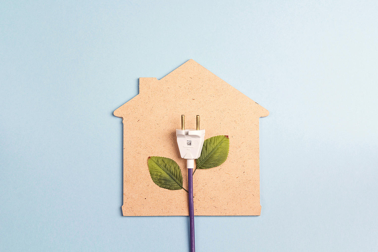 Strom-Stecker mit grünen Blättern und symbolischem Haus im Hintergrund